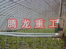 大棚花卉供暖設(shè)備、大棚卉采暖設(shè)備、大棚花卉取暖設(shè)備