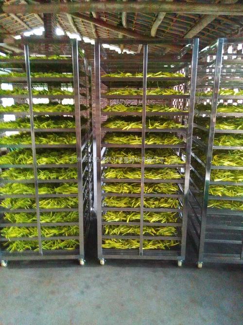 黃花菜烘干機、黃花菜烘干設(shè)備、黃花菜干燥機、黃花菜干燥設(shè)備、